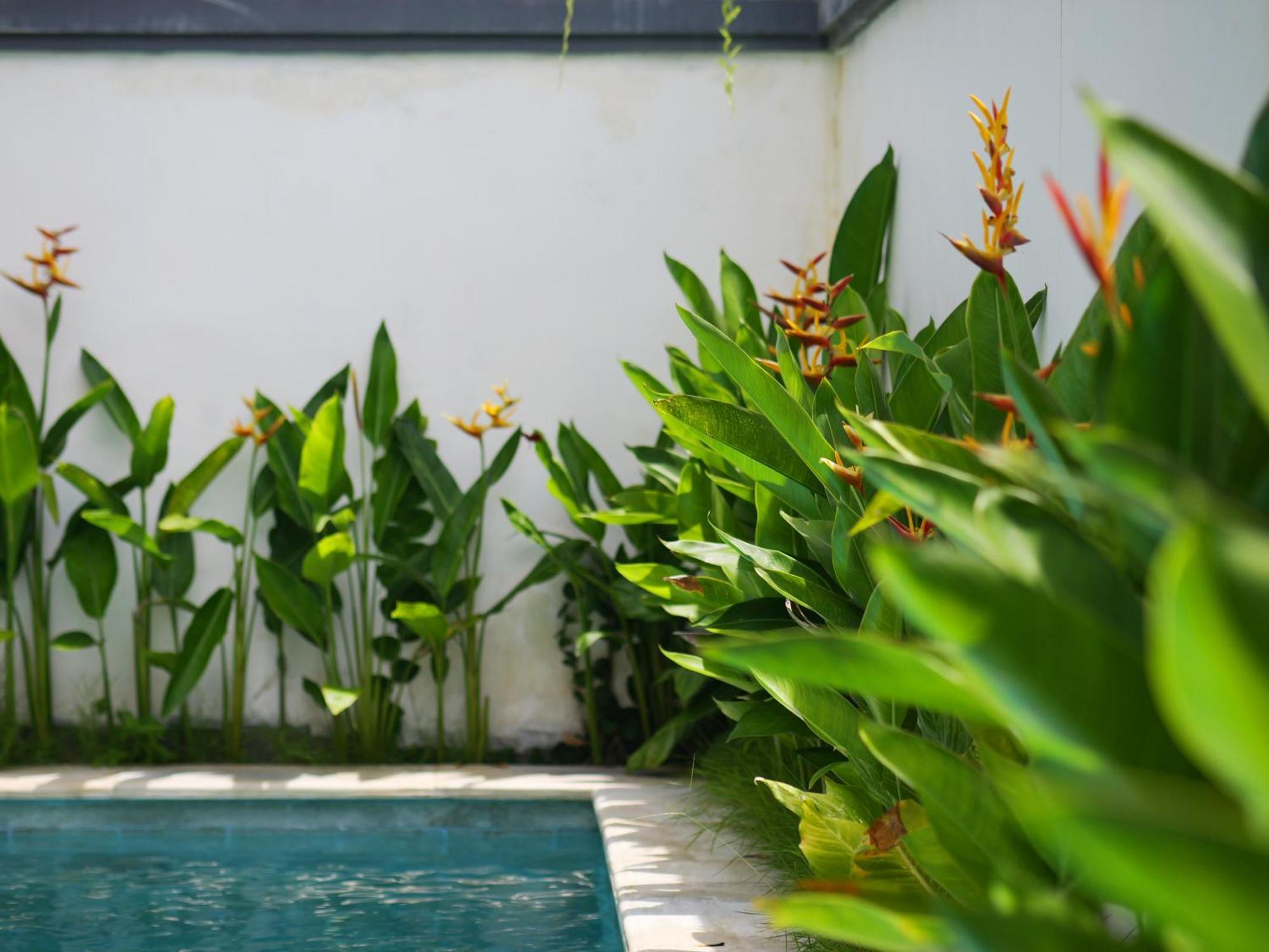 Ken Ken Guest House Seminyak Kültér fotó